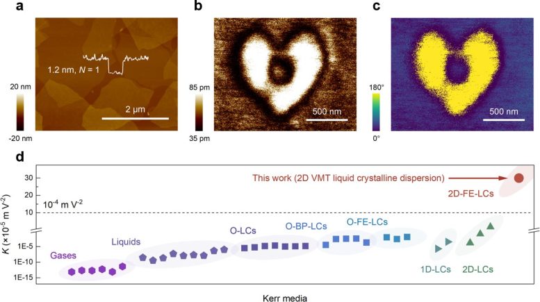 Ferroelectricity of 2D Vermiculite and the Electric Field Responsivity - 2D Ferroelectric Liquid Crystal: The Next Big Thing In Display Technology