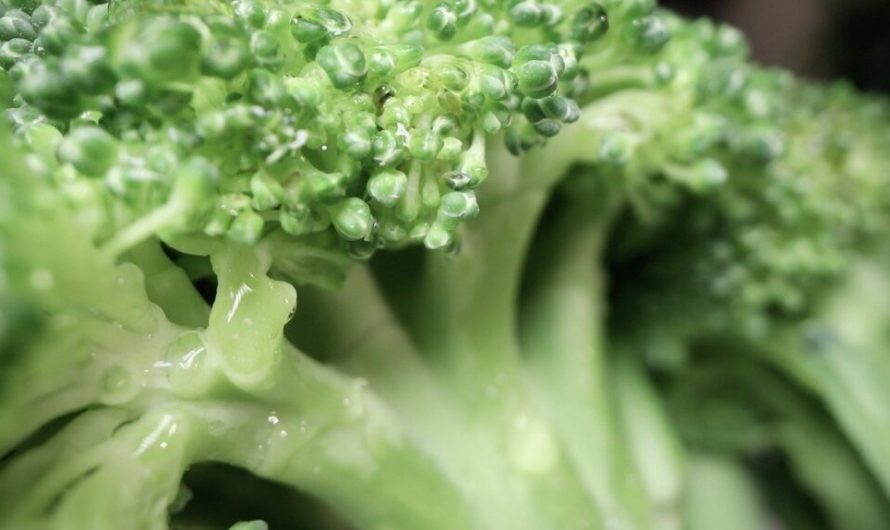 Why kids hate broccoli: a foul combination with oral bacteria