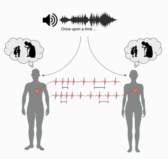 Our heart rates synchronize when closely listening to the same stories