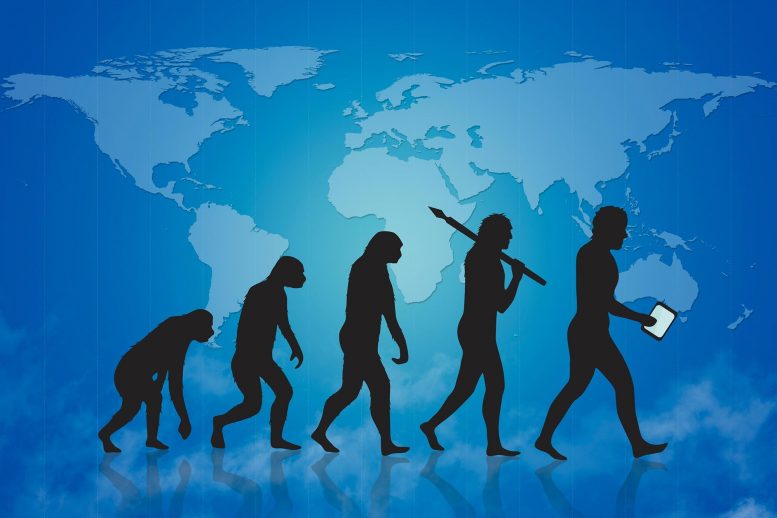 Evolution Now Accepted by Majority of Americans