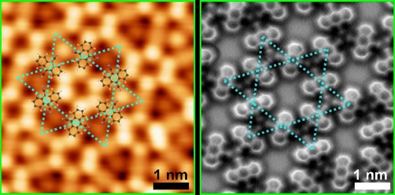 Star Attraction: Magnetism Generated by Star-Like Kagome Geometry Arrangement of Molecules
