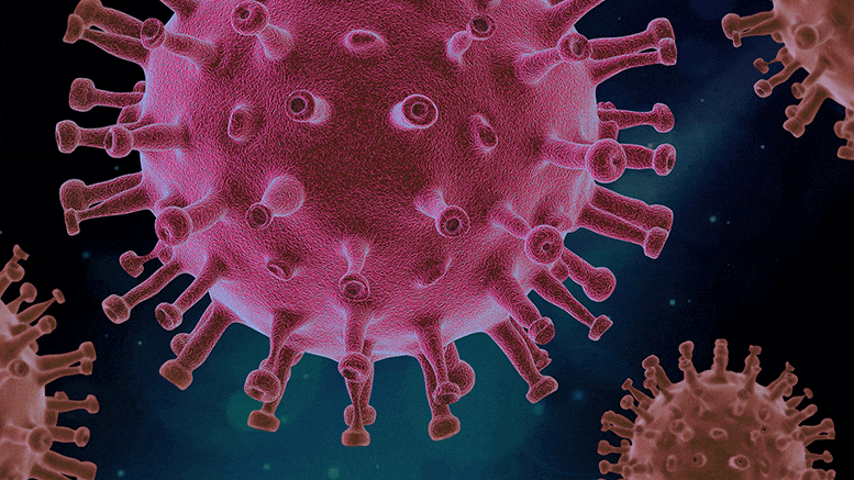 Immunity to COVID-19: Spike Protein Docking Site Is Achilles’ Heel of the Coronavirus