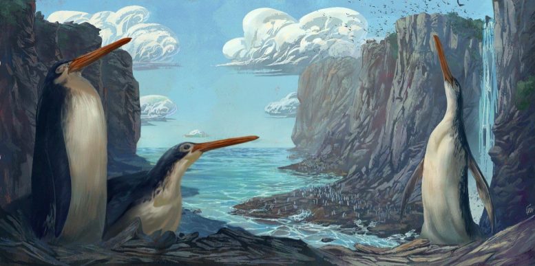 Giant Waikato Penguin: School Kids in New Zealand Discover New Species