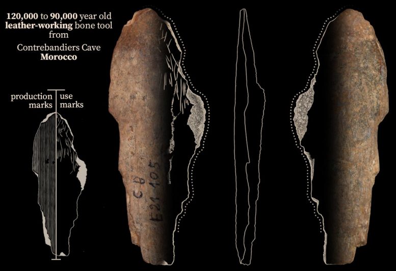 Early Humans Used Bone Tools To Produce Clothing in Morocco 120,000 Years Ago