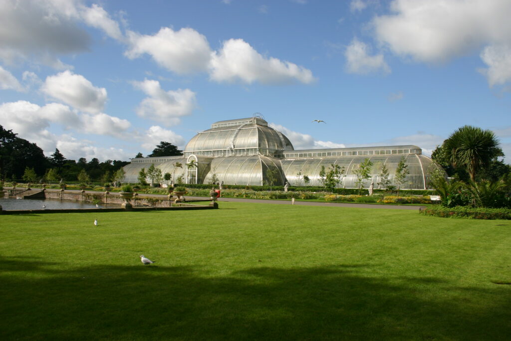 Kew Gardens sets new record for its massive plant collection