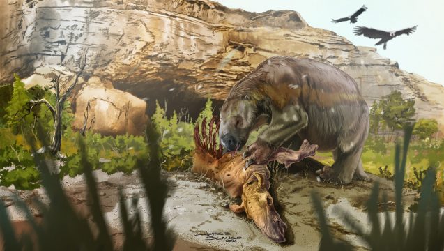 Now-Extinct Giant South American Sloth Likely Devoured Meat With Its Vegetables