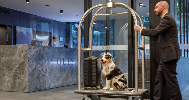 Quest introduces pet-friendly policy at selected hotels
