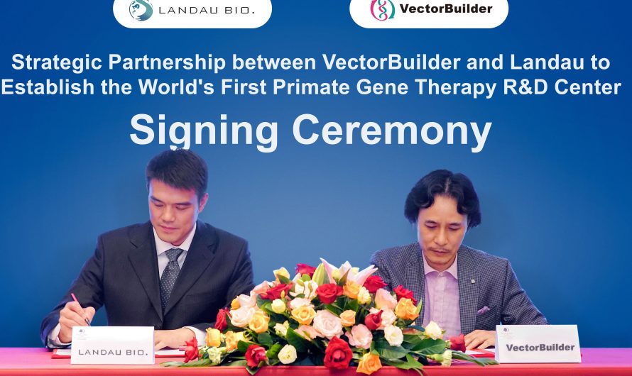 VectorBuilder and Landau enter into strategic partnership to establish world’s first primate gene therapy R&D center