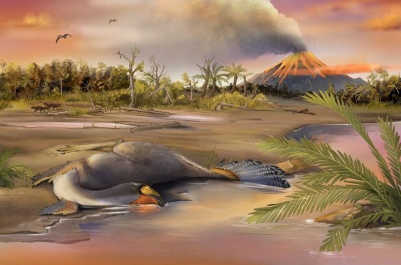 Paleontologists Find Possible Dinosaur DNA