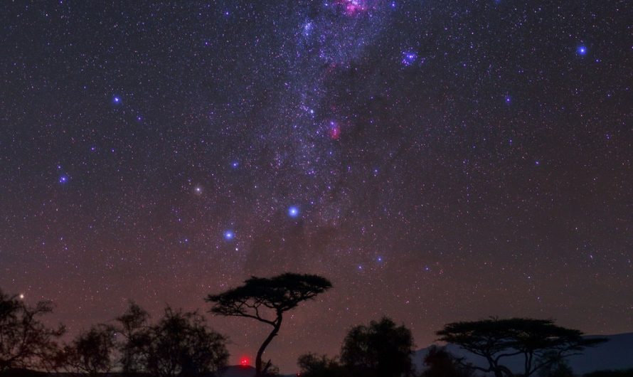 A different way of looking at the sky — Brazilian ethnoastronomy and its unique constellations