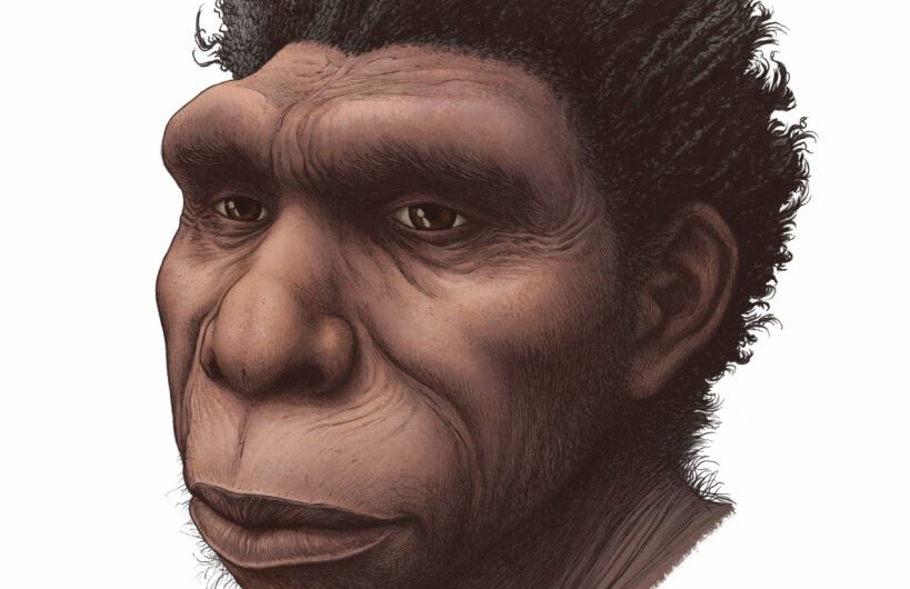 Humanity’s direct ancestor gets a new name. Meet Homo Bodoensis