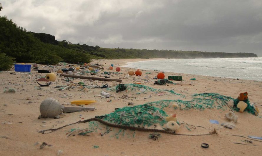 Plastics Make Beaches Hotter During the Day and Colder at Night