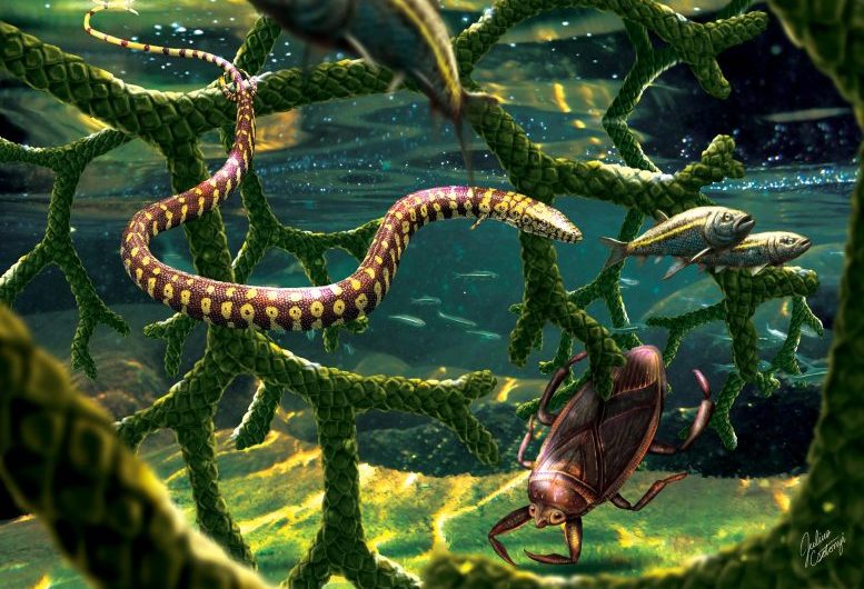 A Fossil of a Bizarre Snake-Like Lizard Has Generated Controversy Beyond Its Identity