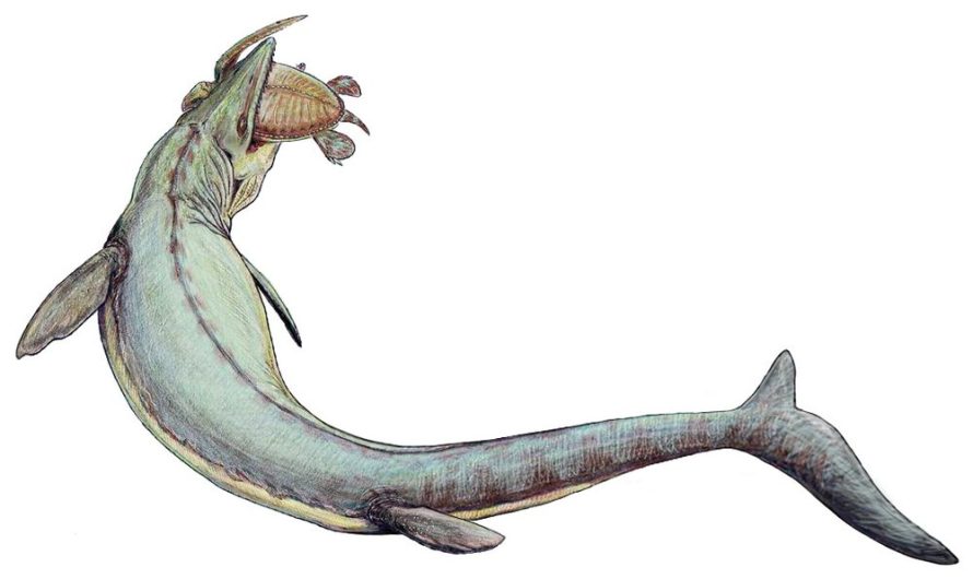 Giant Sea Lizards Ruled the Waves While T. Rex Roamed on Land