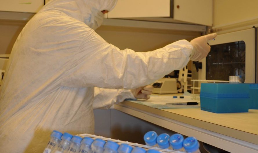 2,000-Year-Old Salmon DNA Reveals Secret to Sustainable Fisheries