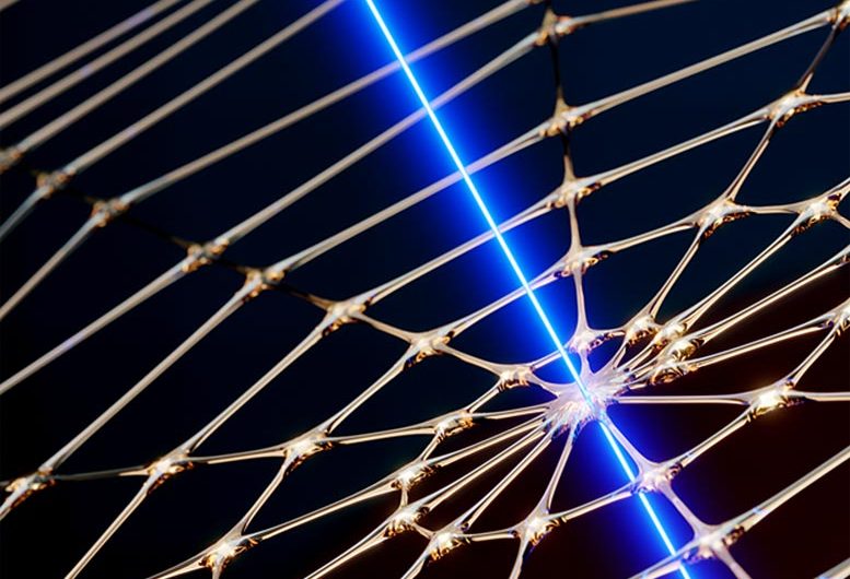 One of the World’s Most Precise Microchip Sensors Created – Thanks to a Spiderweb
