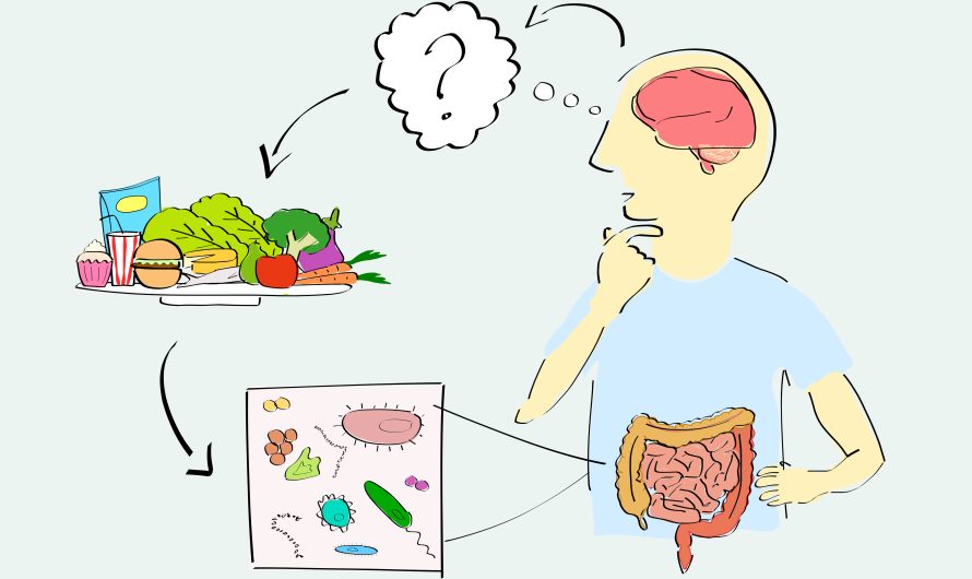 Diet Implicated in Autism-Microbiome Link