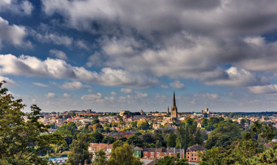 Can’t cope with the urban heat? More trees could save the day