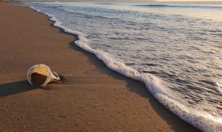 Could we use plastic to end the ocean’s plastic problem? A new paper says: “Yes!”