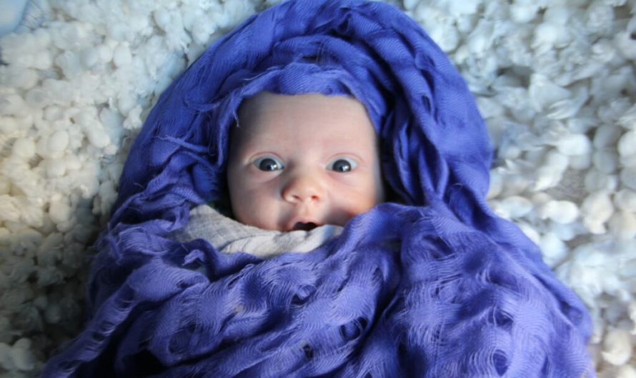 Test tube baby population: from 1 to a few million in less than 50 years