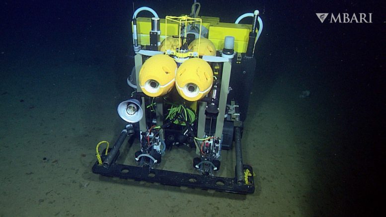Autonomous Robotic Rover Provides New Insight Into Life on the Deep Abyssal Seafloor