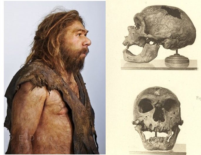 Neanderthal man suffered from earliest example of disease jumping from animal to human