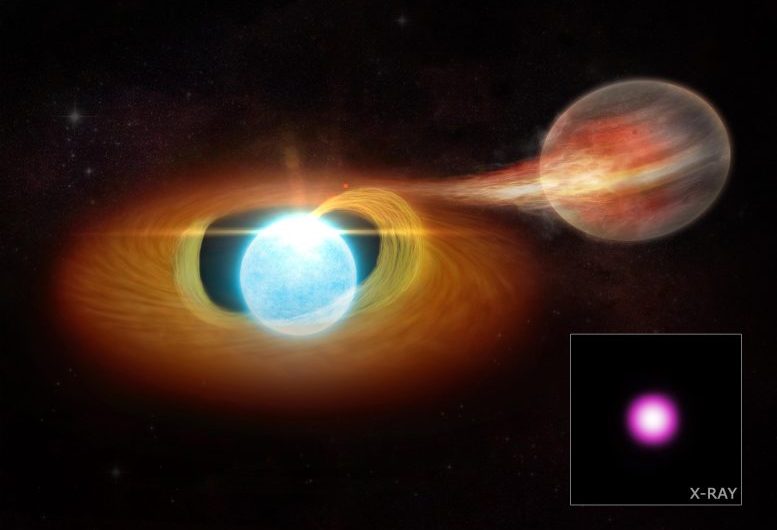 Roasted and Shredded by a Stellar Sidekick: Astronomers Find White Dwarf Blasting a Companion Object