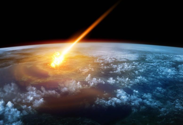 How Did Crocodiles Survive the Asteroid That Wiped Out the Dinosaurs?