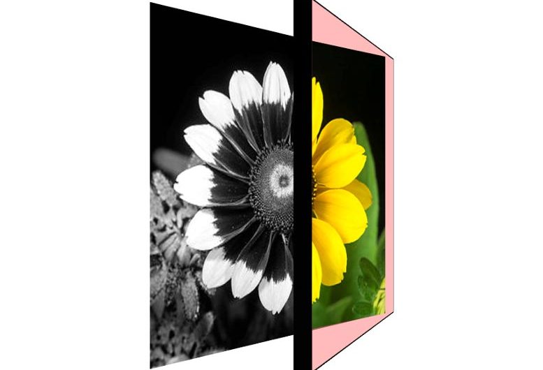 Color-Changing Magnifying Glass Gives Clear View of Invisible Infrared Light