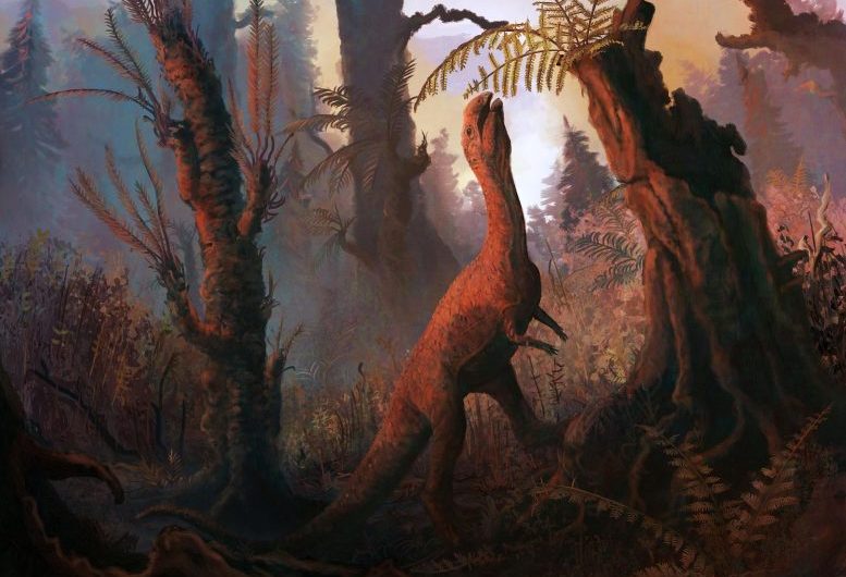 Triassic Herbivore Had an Entirely Different Approach to Feeding Than Previously Thought