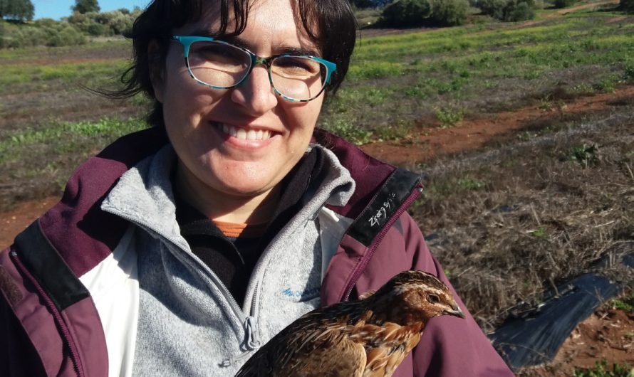 Chromosomal Rearrangement Linked to Less Mobile Quails