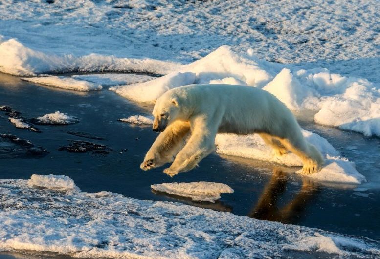 Upper Ocean Temperatures Break Records for Sixth Year!