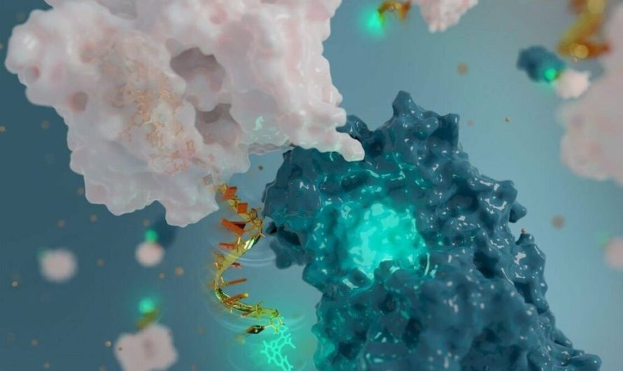 World’s tiniest antenna is made from DNA