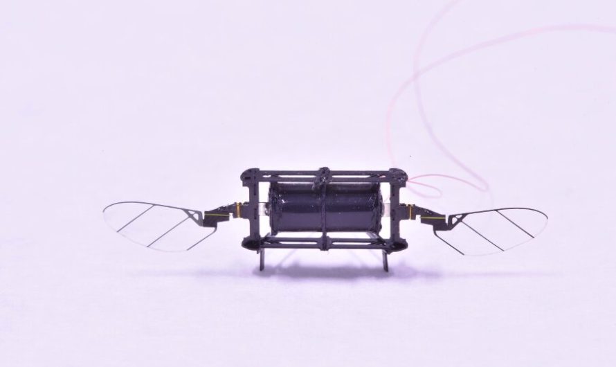 The swarm is near: get ready for the flying microbots