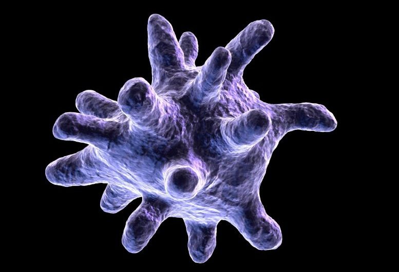 New Research Reveals How the Lung’s Immune Cells Develop After Birth