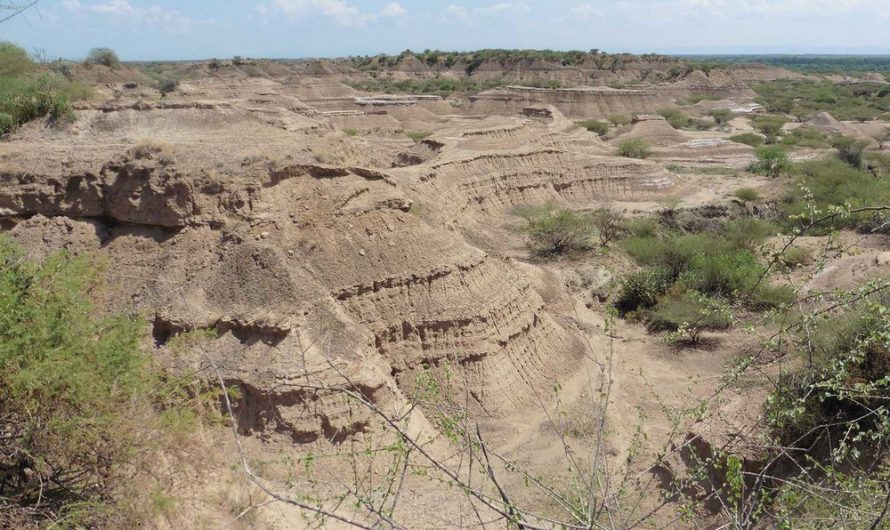 East Africa’s Oldest Modern Human Fossil Is Way Older Than Previously Thought