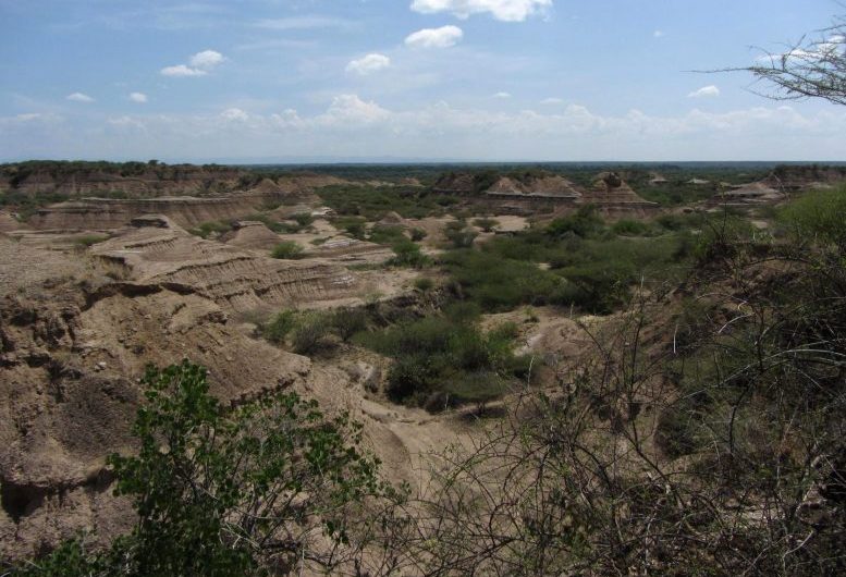Dawn of Humanity Pushed Back 30,000 Years