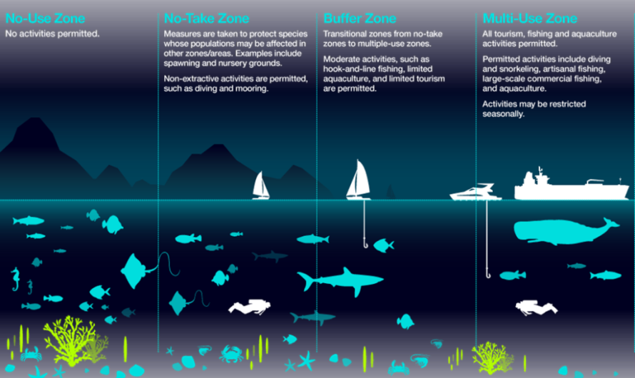 Marine Protected Areas: An update on the research