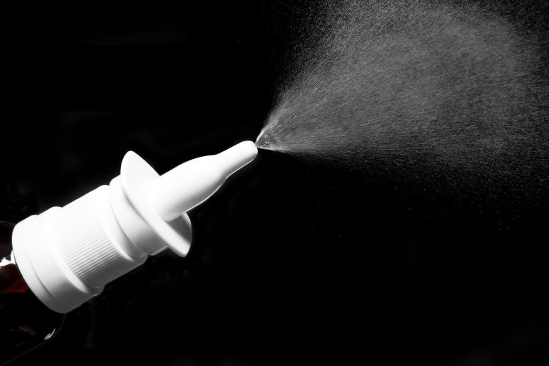 Stopping Dementia at the Nose – Nasal Spray To Treat, Prevent Alzheimer’s Disease