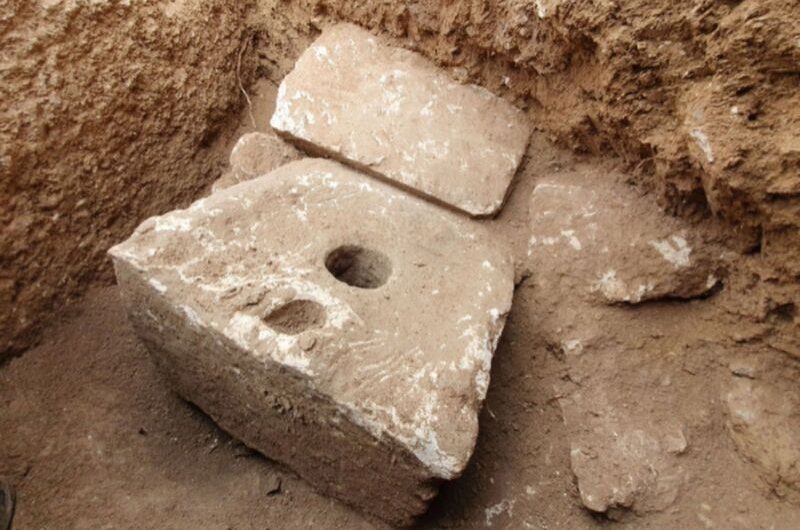 Stone toilet in Israel shows that the rich and powerful in antiquity were suffering from parasites