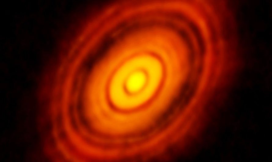 A Star Passed too Close and Tore Out a Chunk of a Protoplanetary Disk