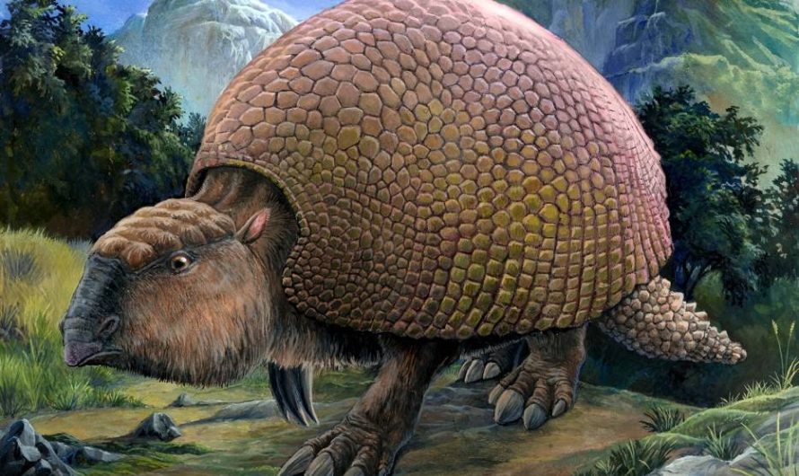 Extinct megafauna were “engineers” that shaped Central and South American ecosystems