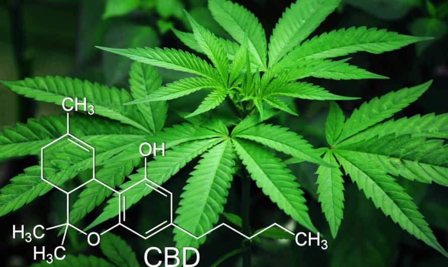 Combining cannabis with prescription drugs could lead to harmful interactions