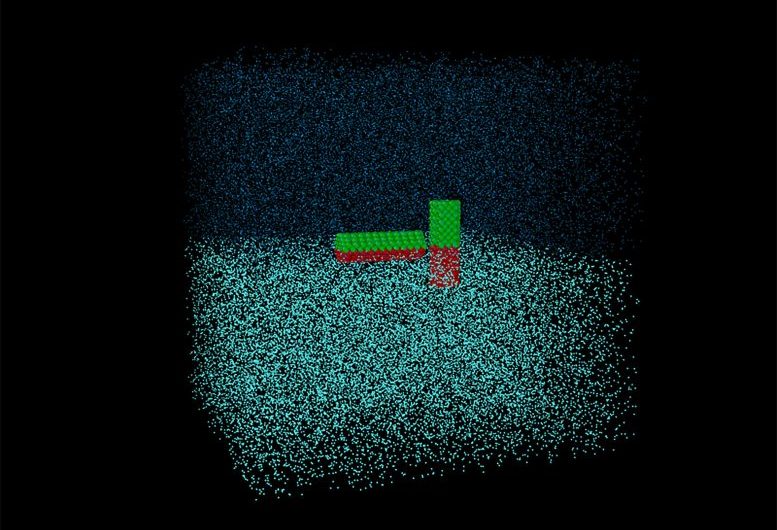 Simulations Reveal Fundamental Insights on Janus Particles