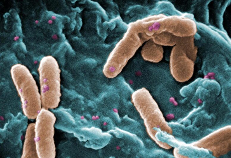 Bacteria Communicate Using Chemical Signals Comparable to Radio Waves