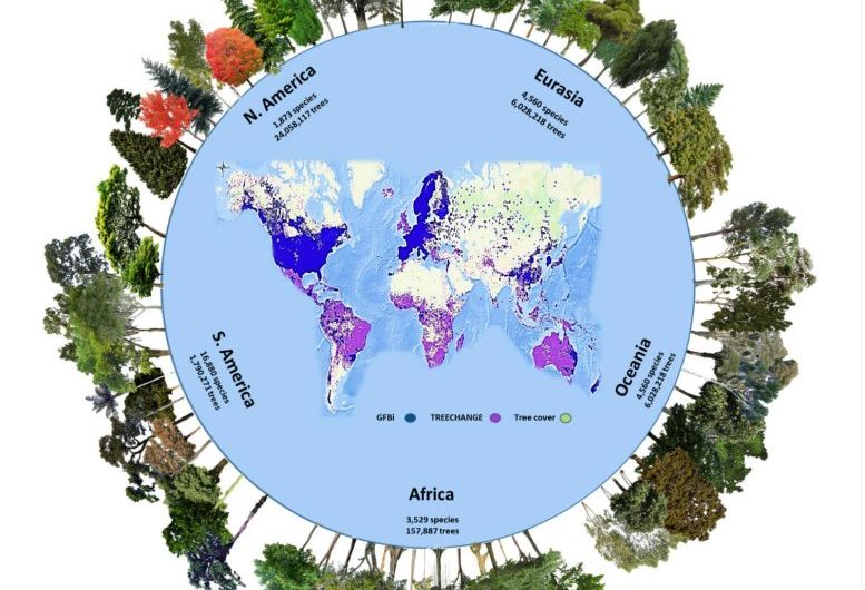 Huge New Study Estimates There Are 9,200 Tree Species on Earth Yet To Be Discovered