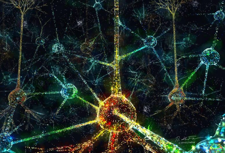 Cracking the Neural Code to the Brain: How Do We Provide Meaning to Our Environment?