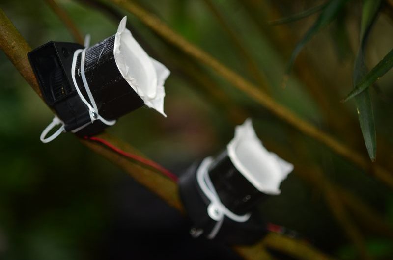 Scientists ID Dozens of Plants, Animals from Free-Floating DNA