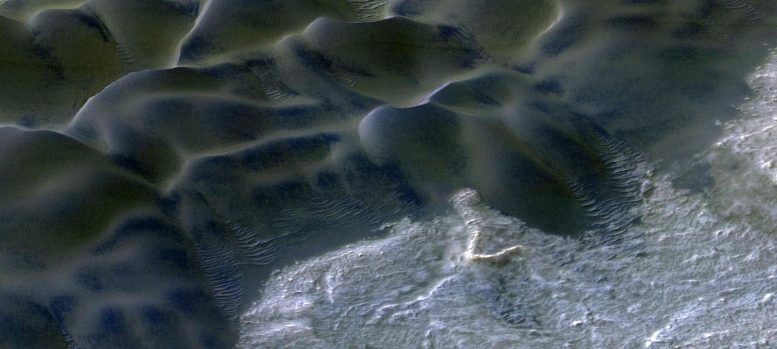 Widespread Megaripple Activity Detected Across the North Polar Region of Mars