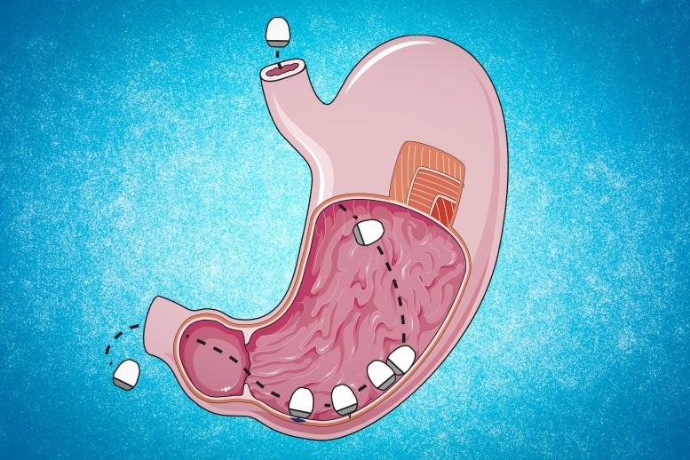 New Way To Administer Vaccines: A Pill That Injects RNA in the Stomach